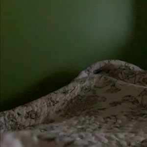 Meet your Posher, Silvia